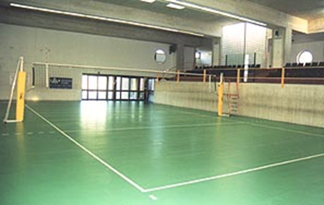 imm palestra vecchiano