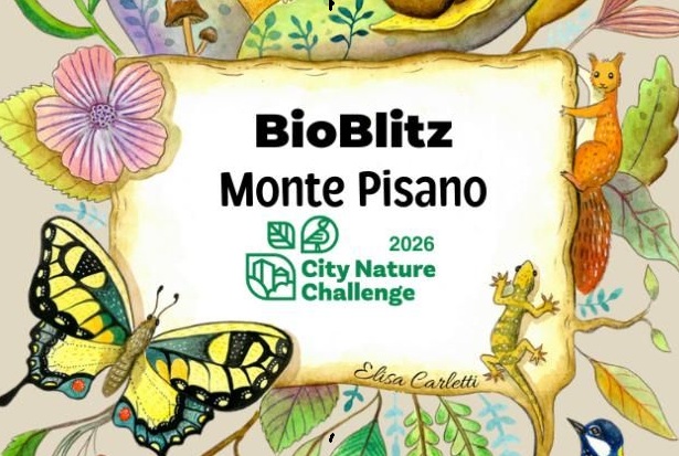 immagine bioblitz 2026