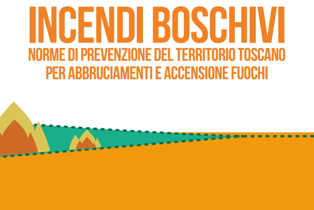immagine incendi boschivi