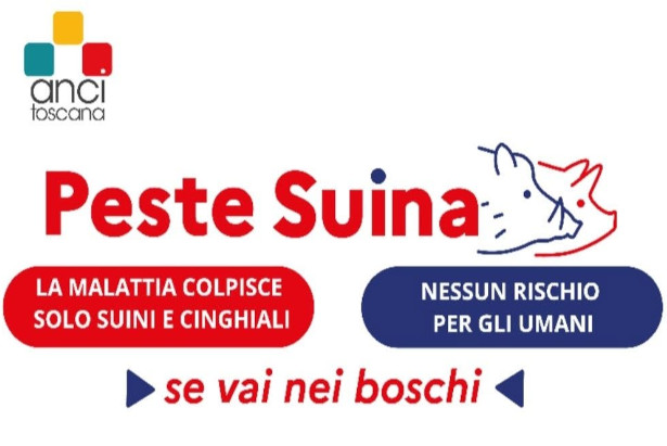 Peste Suina se vai nei boschi
